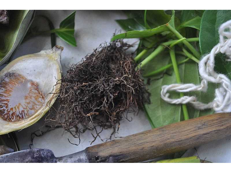 -pinang open-tobacco-knife-benang-betel leaves